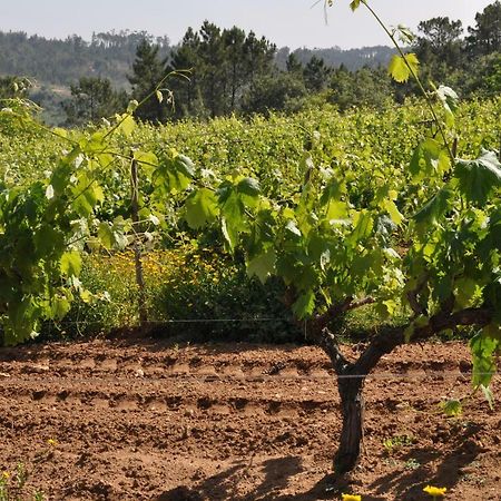 Quinta Da Serrana Ourem Ngoại thất bức ảnh