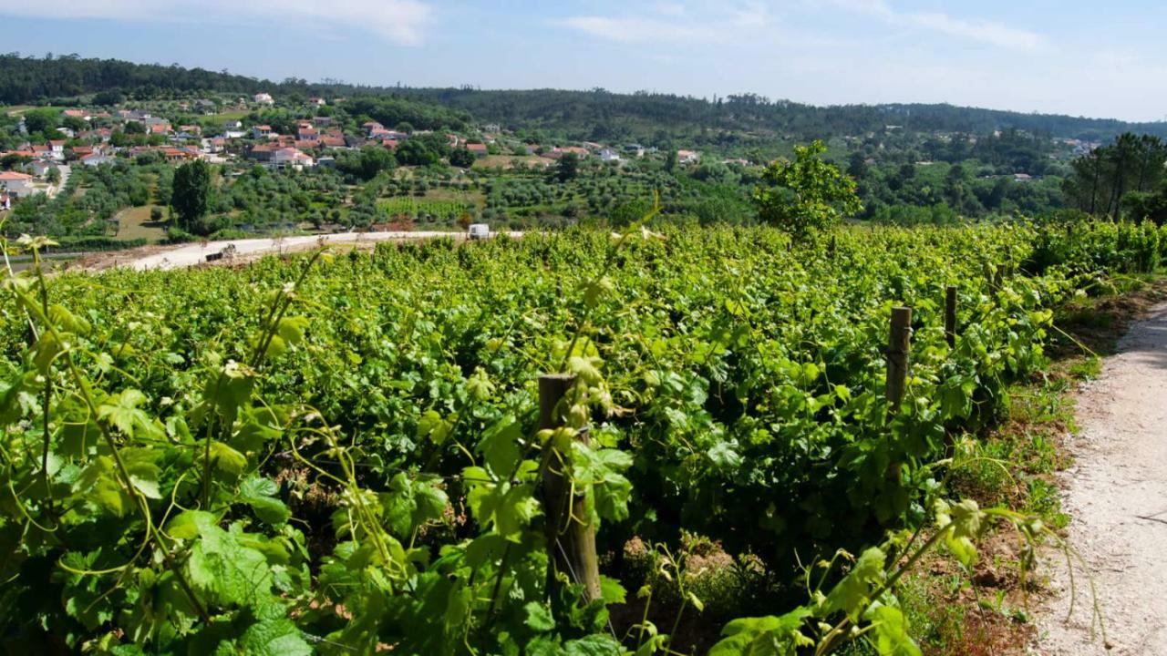 Quinta Da Serrana Ourem Ngoại thất bức ảnh