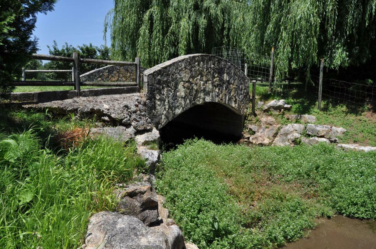 Quinta Da Serrana Ourem Ngoại thất bức ảnh