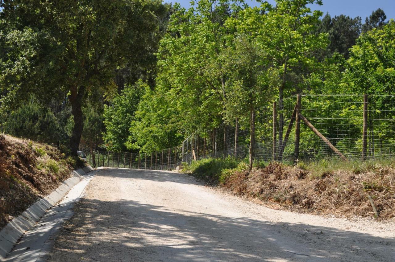 Quinta Da Serrana Ourem Ngoại thất bức ảnh